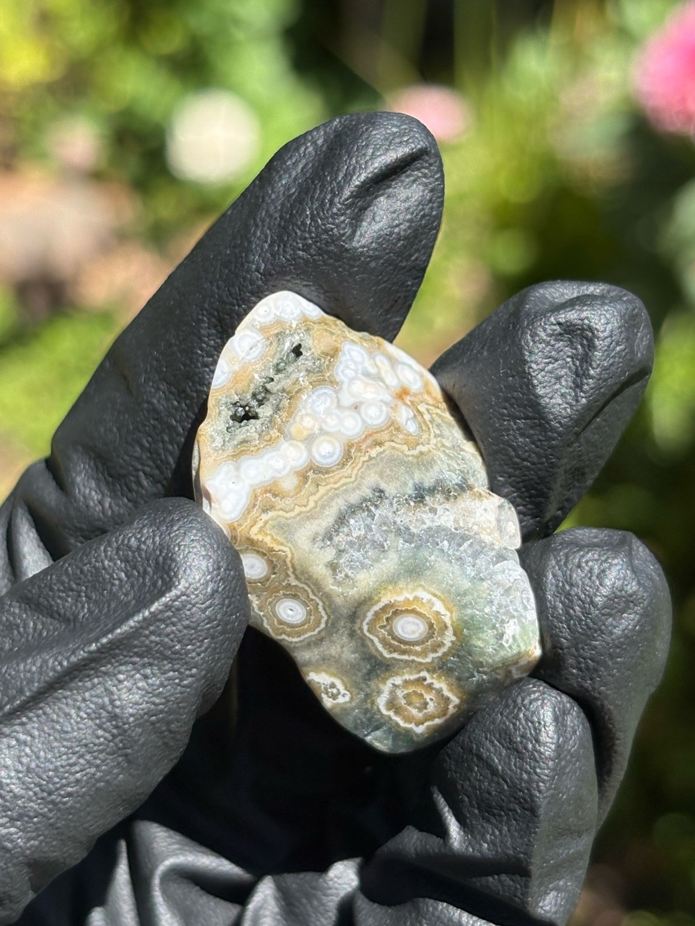 Ocean Jasper Crystal Set - Polished Sea Jasper Bundle - Orbicular Jasper - Picture 8 of 17